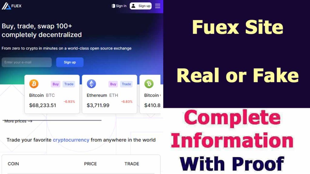Fuex Site Review