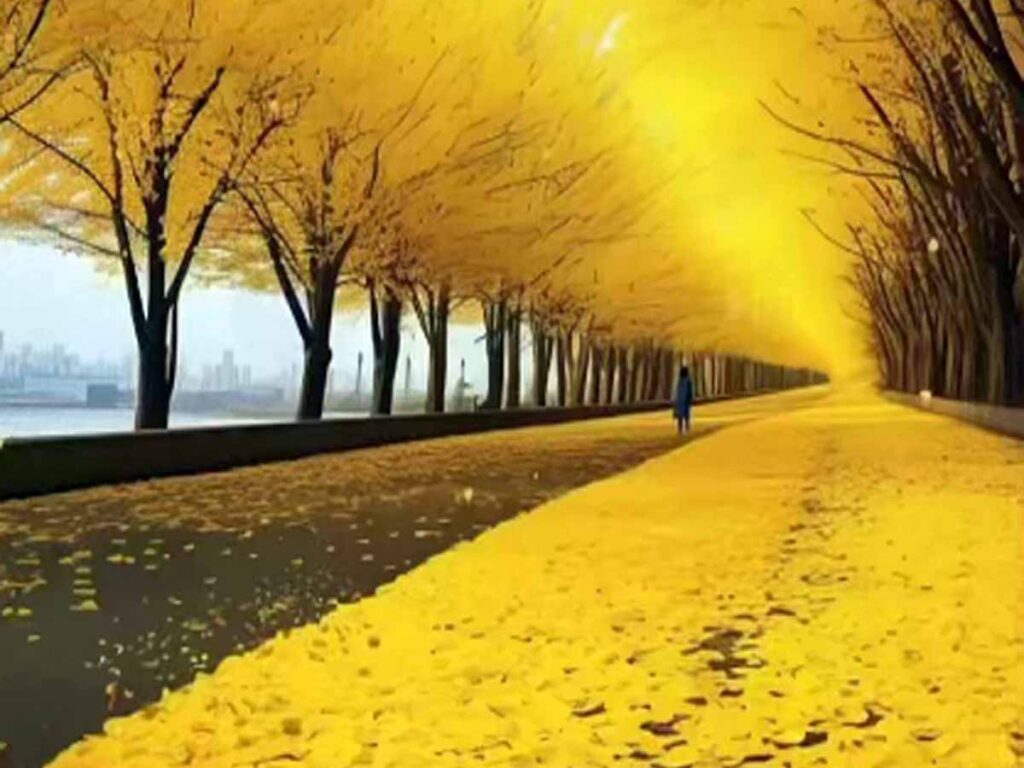 Yellow Spring Road in Japan Real or Fake : Complete Review